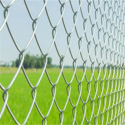 Silberner Diamantdrahtmaschenverzinkter Kettenverbindungszaun 50 Fuß Länge