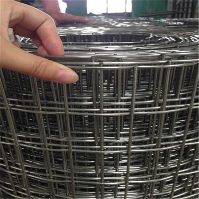Rustproof Galvanisierte 50*50mm Schweißdrahtnetz Zaun 1/4 Zoll Loch Quadrat Stahl Schweißnetz nach Hersteller Großhandelspreise