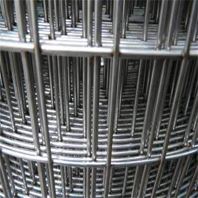 Anpassbar 4ftx50ft Galvanisiertes geschweißtes Drahtnetz Hühner Vogel Käfig Drahtnetz