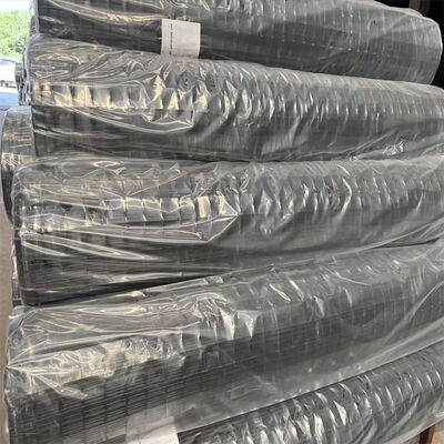 Fabrikpreis hohe Qualität 50x50mm Grün PVC beschichtet Holland Schweißdrahtnetz Zaunplatten für Euro Zaun