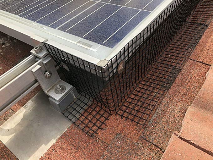 Schwarz PVC beschichtet Schwei&szlig;drahtzaun Quadrat 1/2 Galvanisiertes Schwei&szlig;drahtnetz in Rollen 9