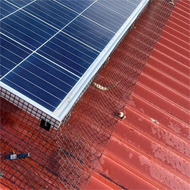 Schwarz PVC beschichtet Schwei&szlig;drahtzaun Quadrat 1/2 Galvanisiertes Schwei&szlig;drahtnetz in Rollen 10